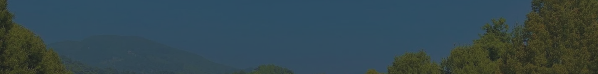 天津天福陵园顶部背景图