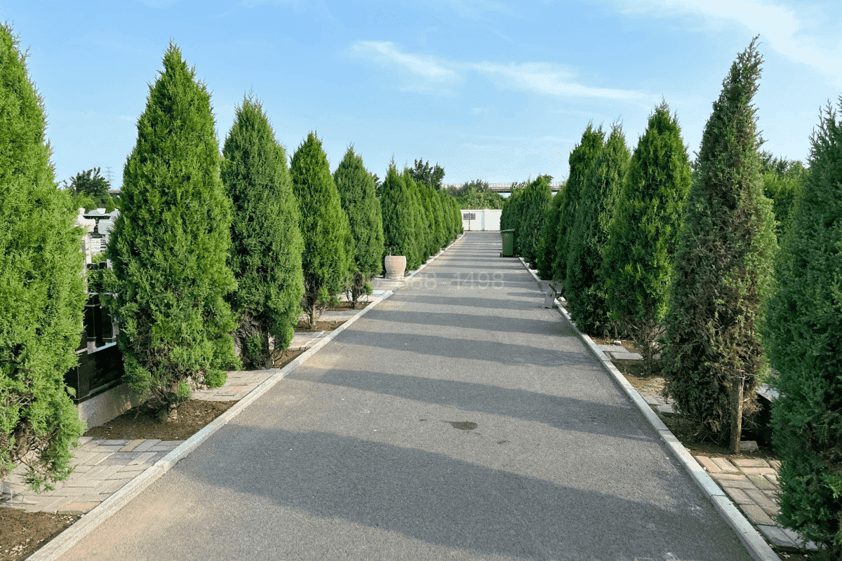 天津天福陵园官网墓区环境图